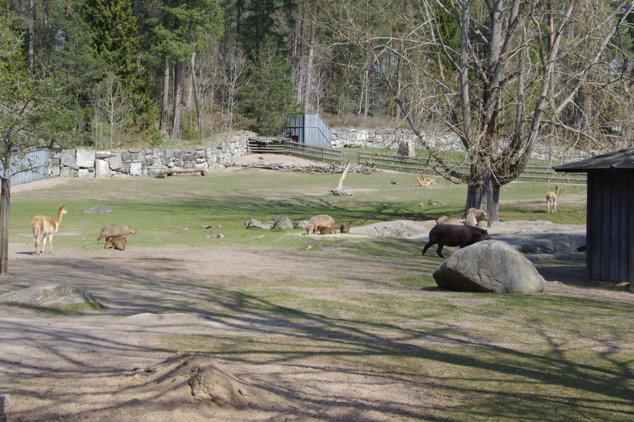Rootsi-loomaaed