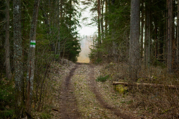 Matkaautoga-valgamaal-tellingumae