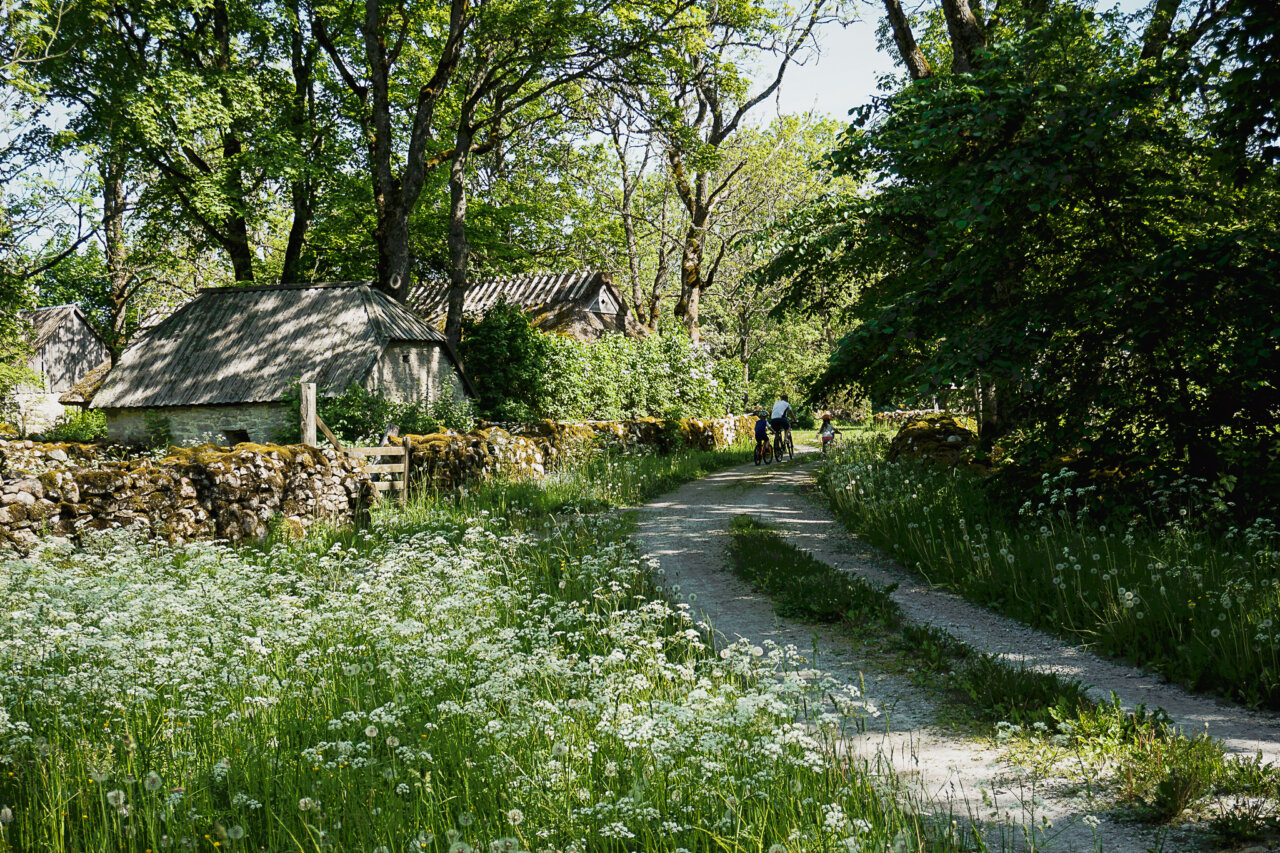 saaremaa-muhu-koguva