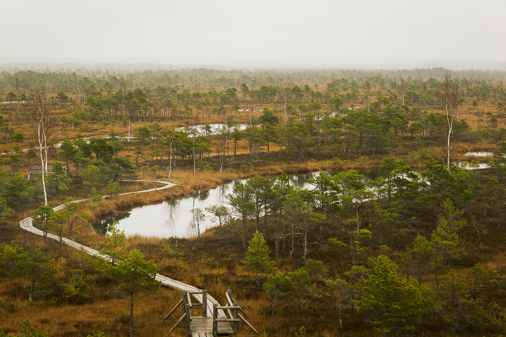 kemeri-national-park