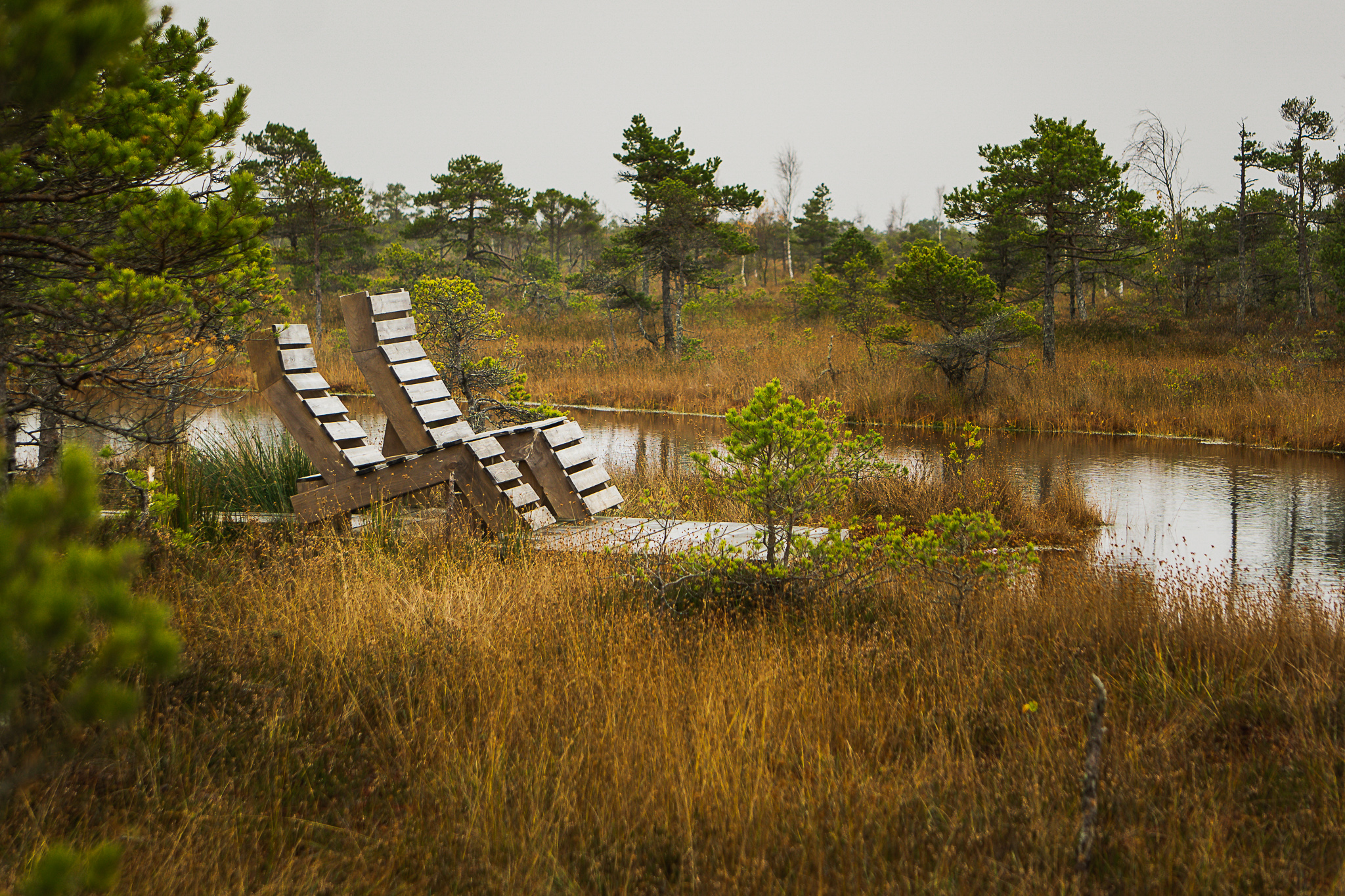 kemeri-national-park