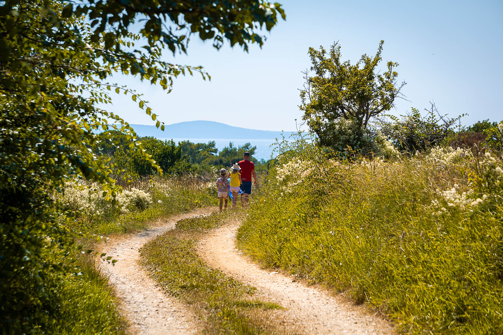 croatia-dalmatian