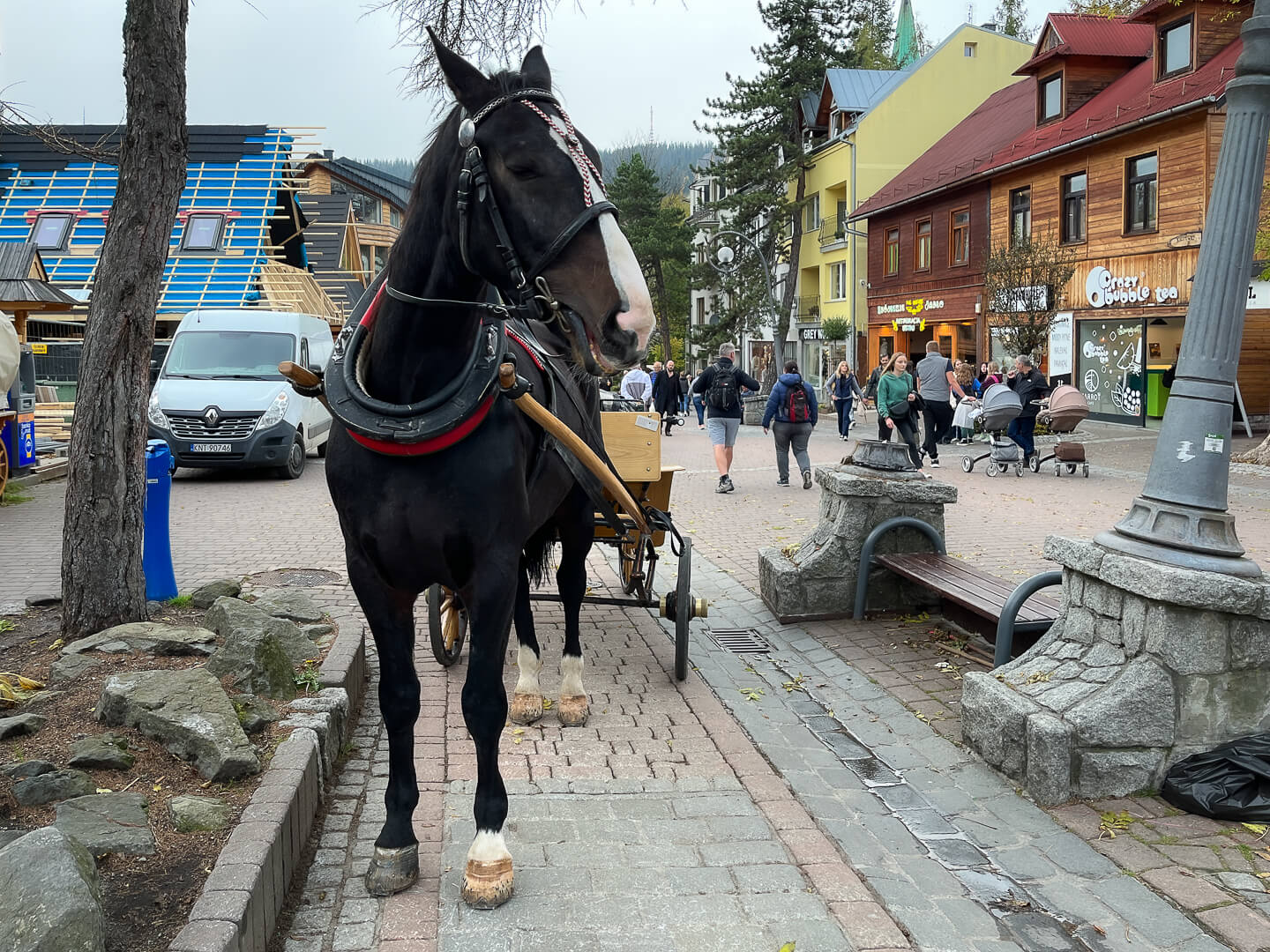 zakopane-poola